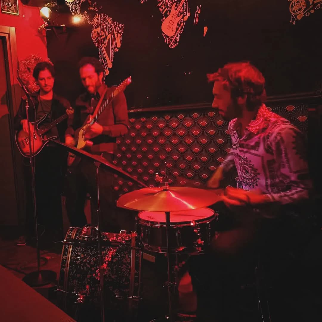 FreeCoolCats live
